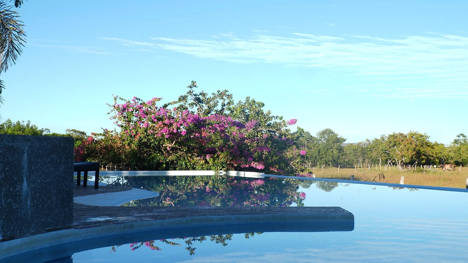 Piscina do Bela Vista com vista para o cerrado